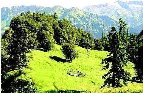 உலகப் பாரம்பரியச் சின்னமானது கிரேட் இமாலயன் தேசியப் பூங்கா