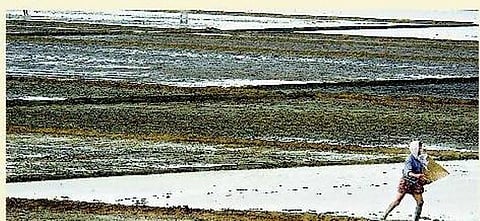 கண்ணீரோடு விதைப்பவர்கள்