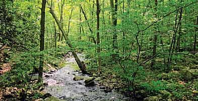 மௌனத்தைக் கேட்கவும்﻿