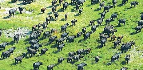 இனி இவை எல்லாம் உலகப் பாரம்பரியச் சின்னங்கள்!