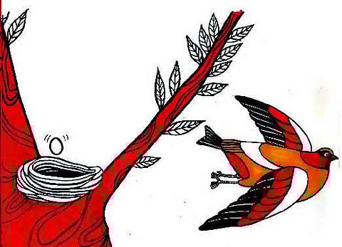 நீங்கள் என் அம்மாவா?