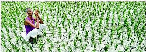 வலைப்பூ வாசம்: அறம் பாடியே ஆகவேண்டுமா?﻿