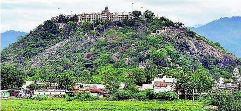 பழனி மலை முருகன் கோயிலுக்கு பட்டா இல்லை﻿: 100 ஆண்டுகளாக போராடும் தேவஸ்தானம்﻿