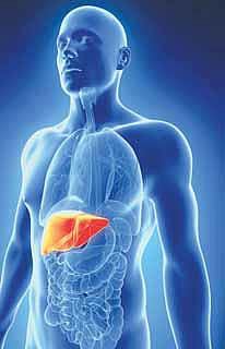 உலகக் கல்லீரல் அழற்சி நாள் ஜூன் 28- கல்லீரலைக் காப்போம்﻿