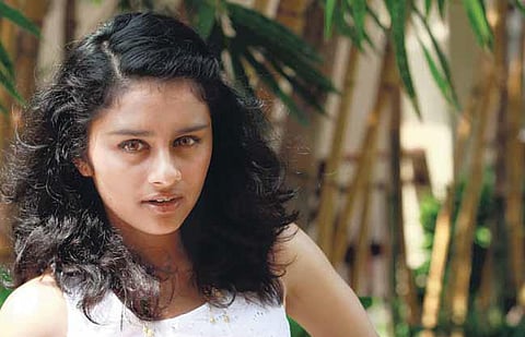 கலிபோர்னியா பாட்டுக் குயில்﻿