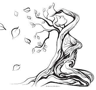 சிறகுகள் இல்லாத பறவை﻿