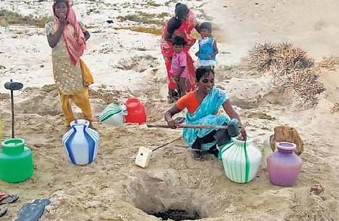 கடலும் உயிரும்!