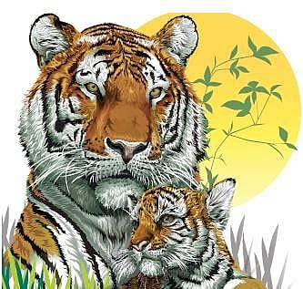 ஒரு குட்டிப் புலியின்﻿ குரல்