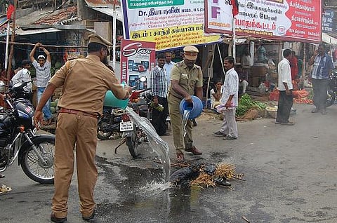 கிருஷ்ணகிரியில் ராஜபக்சே உருவ பொம்மையை எரித்து அதிமுகவினர் போராட்டம்