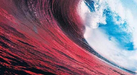 ரத்தக் கருப்பு﻿