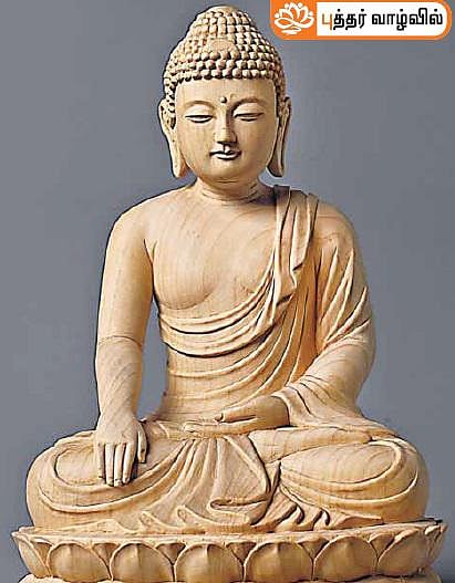 கவுதமி அன்னையும் புத்தரும்