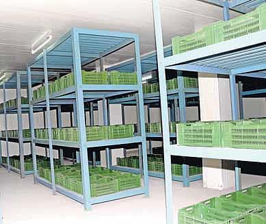 தமிழகத்திலேயே முதல்முறையாக குளிரூட்டப்பட்ட வாழை வணிக வளாகம்: விவசாயிகள், வியாபாரிகள் வரவேற்பு﻿﻿