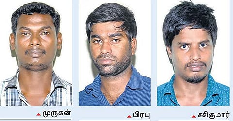 செயின் பறிப்பு கொள்ளையர்கள் 3 பேர் சிக்கினர்﻿