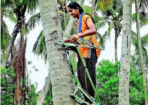 தென்னை, பனை மரங்களில் ஏற உதவும் கருவி