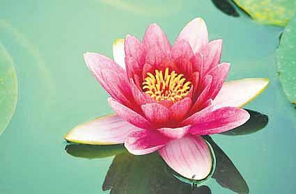 தத்துவ விசாரம்: ஆத்மாவின் அடிப்படையில் நீயே நான்