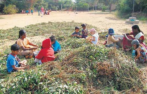 பண்ணையே ஒரு பள்ளிக்கூடம்