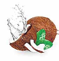 விடுகதை