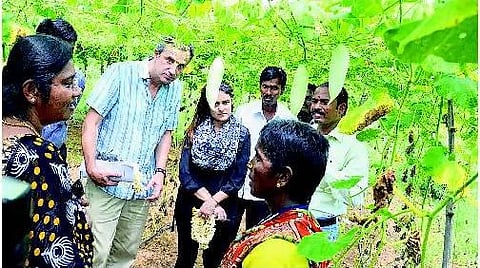 புதுவாழ்வு திட்டத்தின் மூலம் காய்கறி தோட்டம்: உலக வங்கி அதிகாரிகள் ஆய்வு