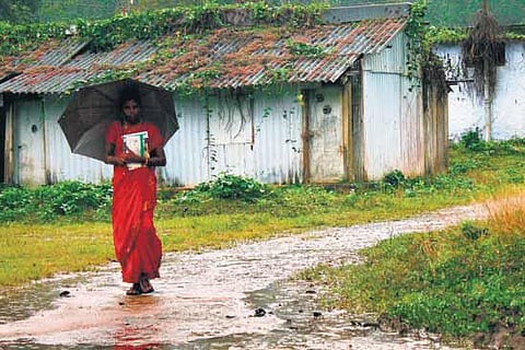 அடர் வனத்தில் ஒரு அஞ்சல் பெண்﻿