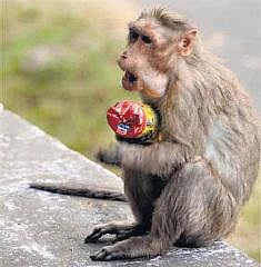 உண்டி கொடுத்தோம், உயிர் கொடுத்தோமா?