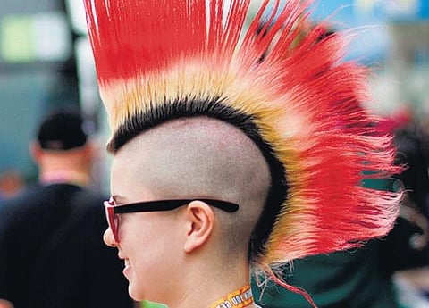 கீரிப் புள்ளையா, முள்ளம் பன்றியா? - கலக்கல் ஸ்டைல்