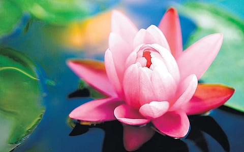 நம்பிக்கையால் ஆனந்தம் மலர்கிறது