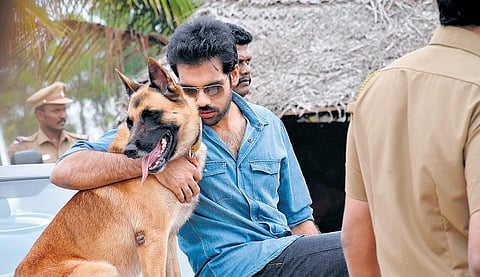 நாய் நண்பன்