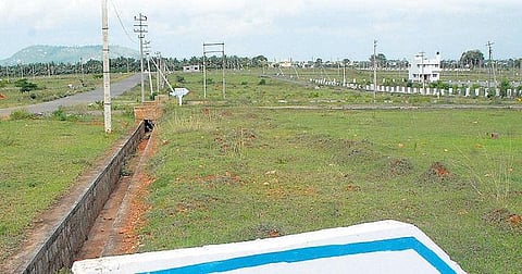 கரிசலாங்கண்ணிகள் பூத்திருந்த நிலம்