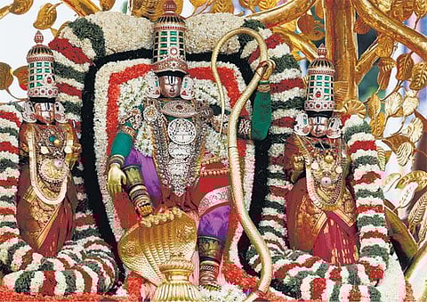 திருப்பதி பிரம்மோற்சவம் 4-ம் நாள் விழா﻿: கற்பக விருட்ச வாகனத்தில் உற்சவர் பவனி﻿