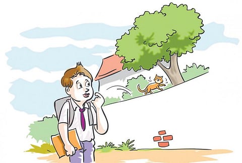 பூனையாக மாறிய குட்டிப் பையன்﻿