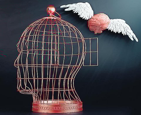 சொந்த முடிவுகளால் வாழுங்கள்