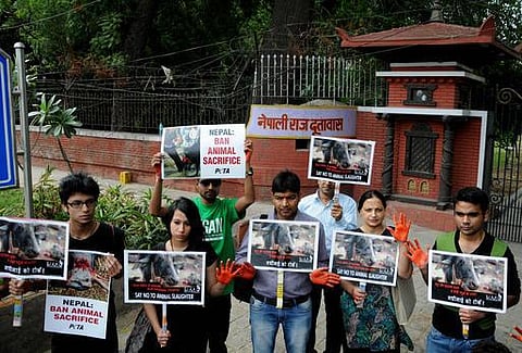 விலங்குகள் மீது பரிசோதிக்கப்பட்ட அழகு சாதனப் பொருட்களுக்கு இந்தியாவில் தடை