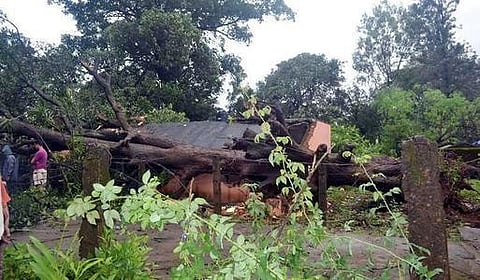 ஹுத்ஹுத் புயல் பாதிப்பு: ஒடிஸாவில் 5,000 மரங்கள் அழிந்தன