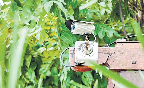 கைப்பிடிக்குள் உங்கள் வீடு