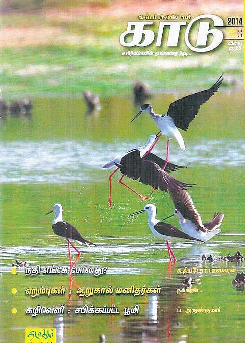 பசுமை இதழியலுக்குப் புது வரவு