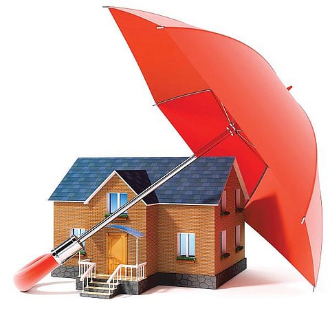 அழகும் பாதுகாப்பும்﻿