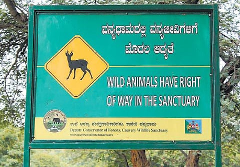 3 தலைமுறைகளாக வசிக்கும் தமிழர்களை வெளியேற்ற கர்நாடக வனத்துறை திட்டம்﻿: காவிரியின் மறுகரையில் வசிக்கும் தமிழர்கள் வேதனை﻿