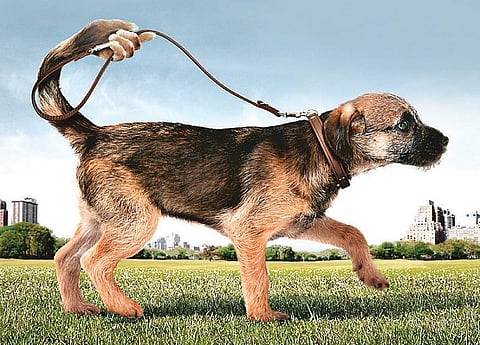 ஒரே வெட்டில் எட்டு துண்டு