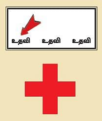 கரடியின் நிறம் என்ன?