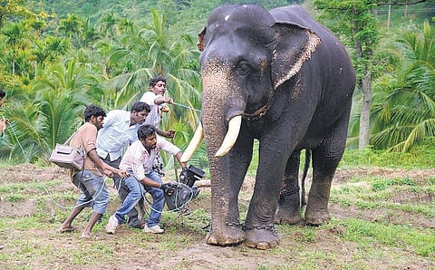 கோணங்கள் 7 - விடாது கருப்பு