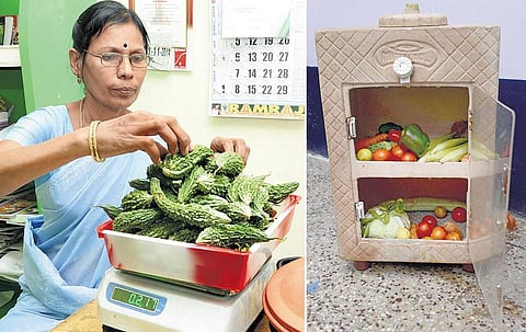 மறுவாழ்வு தந்த இயற்கை