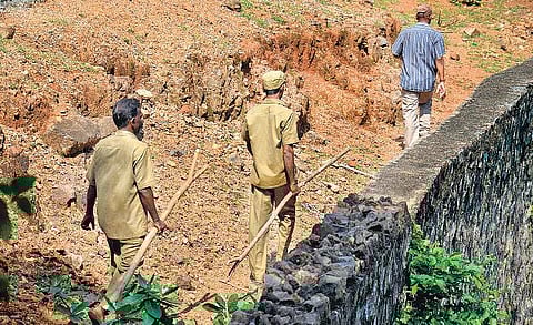 மாயமானதாக கூறப்படும் பெண் புலி உட்பட﻿ 26 புலிகளும் பாதுகாப்பாக பூங்காவில் உள்ளன﻿: வண்டலூர் பூங்கா இயக்குநர் பேட்டி﻿