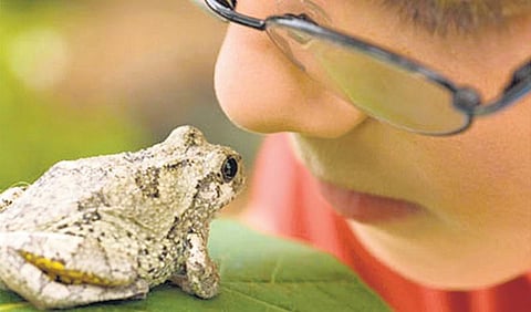 நீங்களும் விஞ்ஞானிதான்!