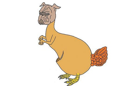 புதிர் பக்கம்