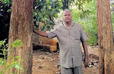 ஆண்டு முழுவதும் வருமானம் தரும் மரத் தோட்டம்: சாதிக்கும் இரண்டலப்பாறை விவசாயி அமலதாஸ்