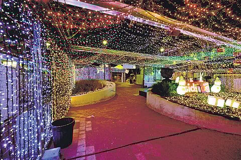 10.2 லட்சம் மின் விளக்கு தோரணம்: ஆஸ்திரேலியாவில் கின்னஸ் சாதனை