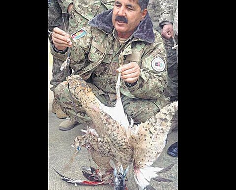 ஆப்கானிஸ்தான் அரசுக்கு எதிராக பறவைகள் தற்கொலைப் படை﻿: தலிபான்கள் புதிய போர் வியூகம்