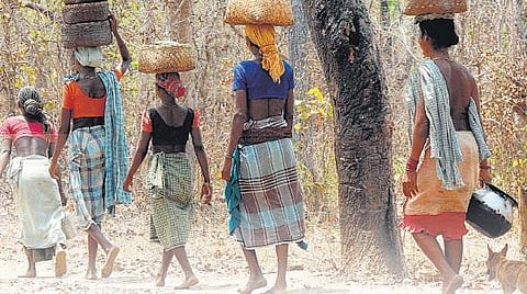 ‘இன்னொரு இந்தியா’  - பரிதாபத்துக்குரிய பழங்குடிகள்