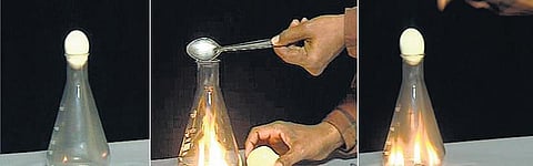 முட்டையும் காற்றும்﻿