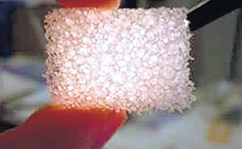 நச்சை உறிஞ்சும் நானோபட்!